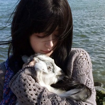 八十龟酱观察日记第三季